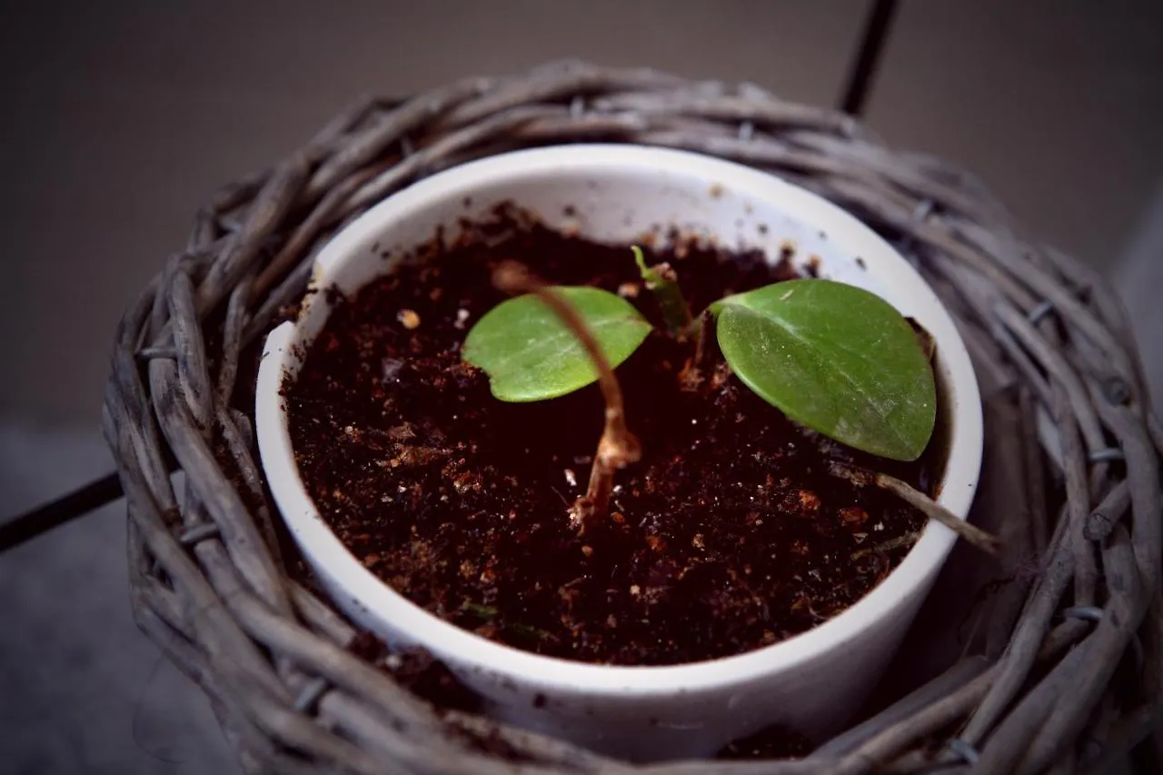 Hotel Hue Loft Incheon